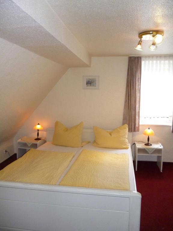 Hotel-café-restaurant Parkhaus Gasthof Altenau (Lower-Saxony)